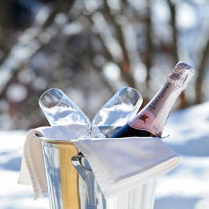 Luxe winter wild