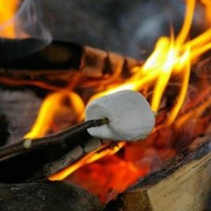 Marshmallows