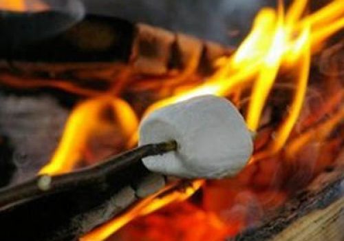 Uitbereiding op barbecue
